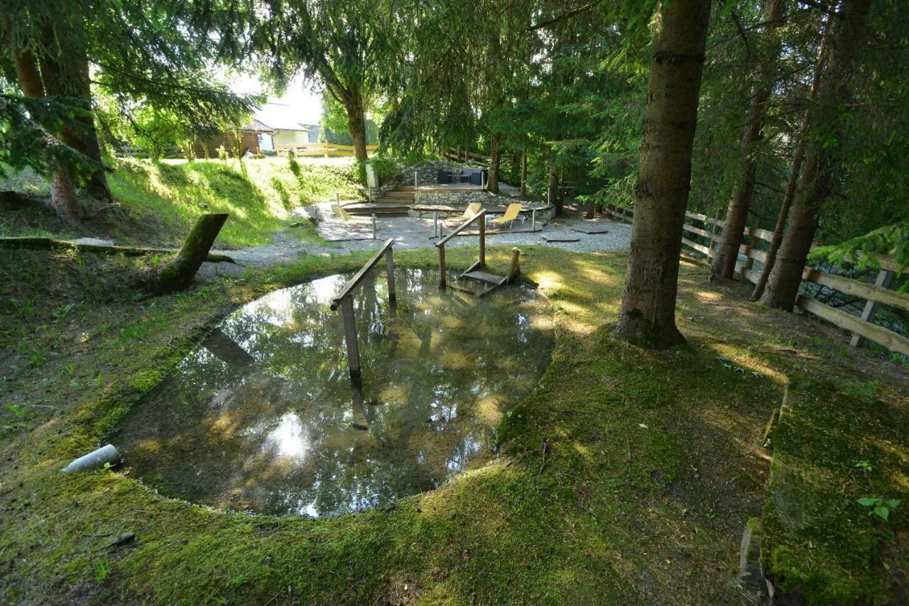Hartweger'S Hotel Гаус-ім-Енншталь Екстер'єр фото